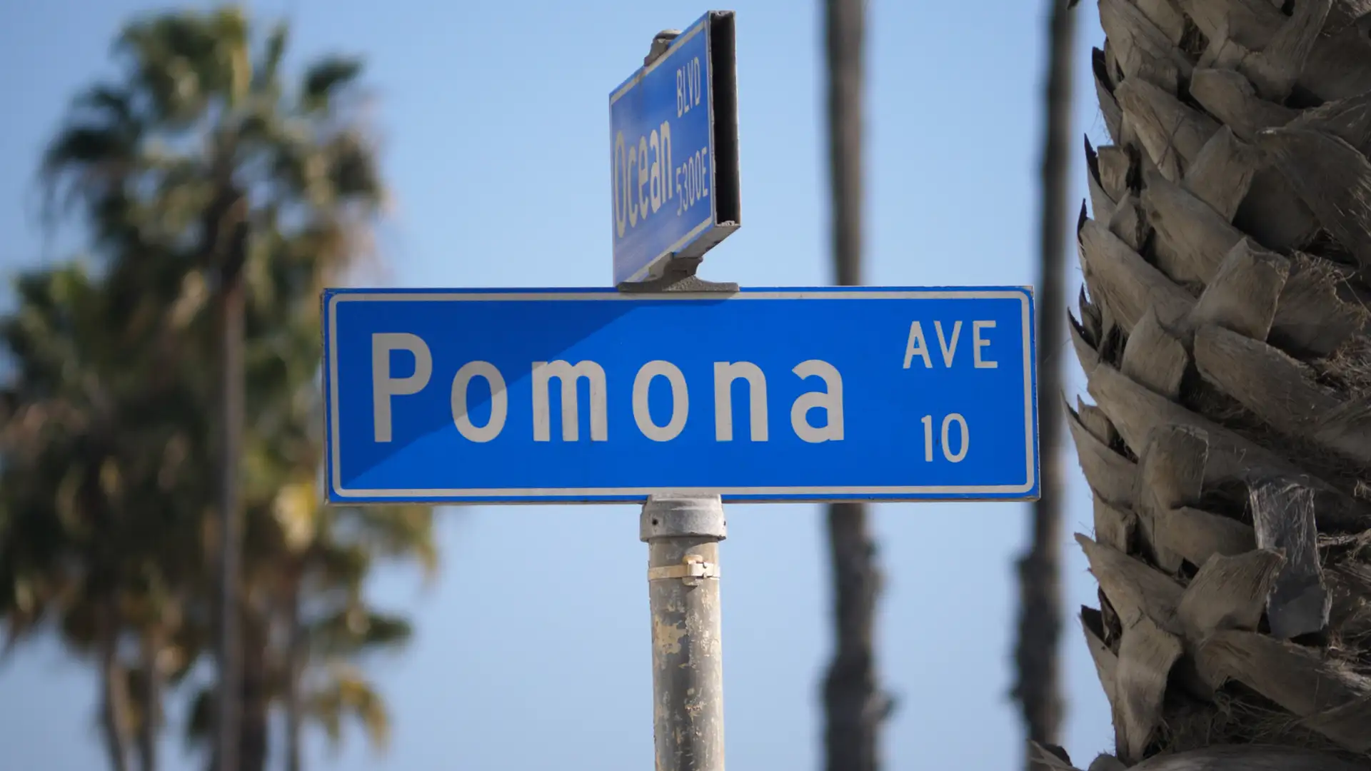 Understanding severance agreements with legal guidance